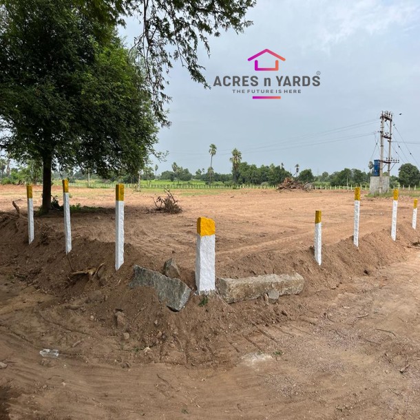 Agricultural Land For Sale-1
