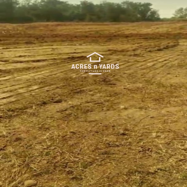 Agricultural Land For Sale-1