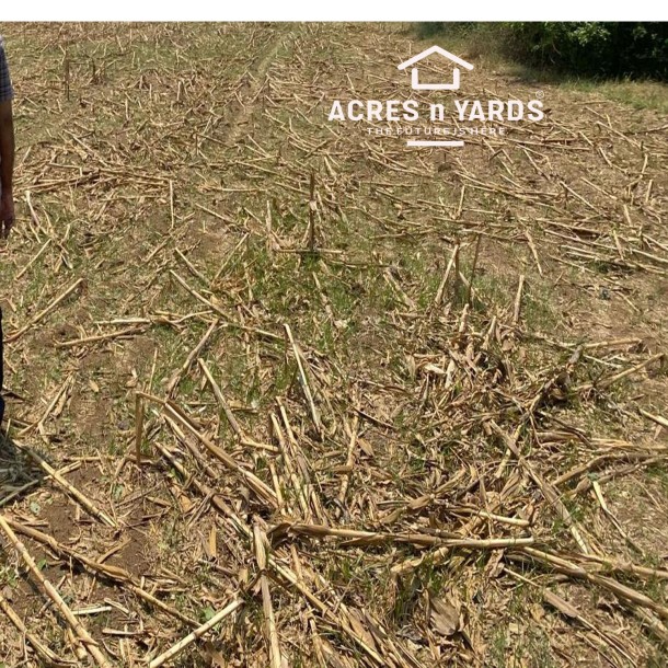 Agriculture Land For Sale-1