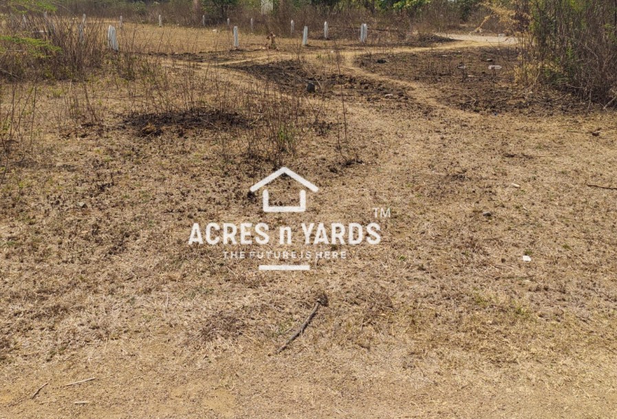 Agriculture Land For Sale-1