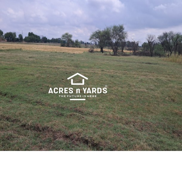 Agriculture Land-1