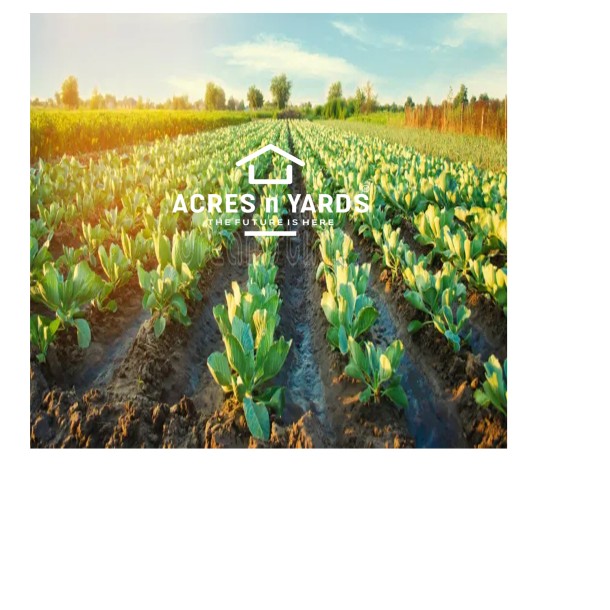 Agriculture Land For Sale-1