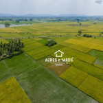 Agriculture  Land For Sale