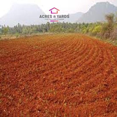 Agricultural Land For Sale