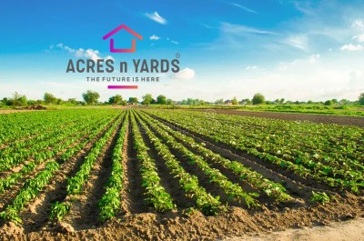 Agriculture Land For Sale
