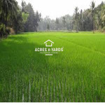 Agriculture  Land For Sale