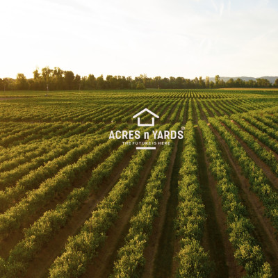 Agriculture  Land For Sale