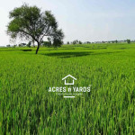 Agriculture  Land For Sale